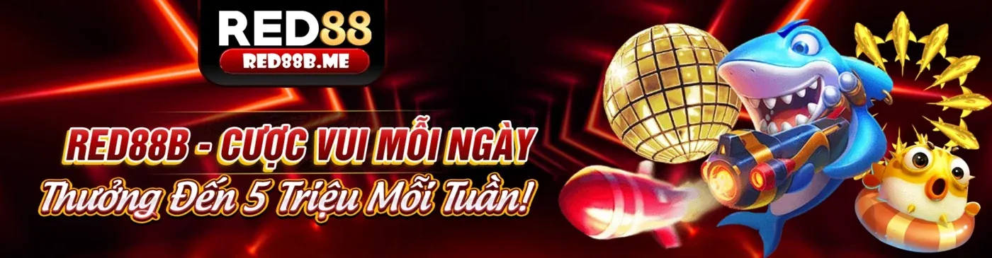Nền tảng Kingbet86 Code an toàn và tuân thủ GDPR